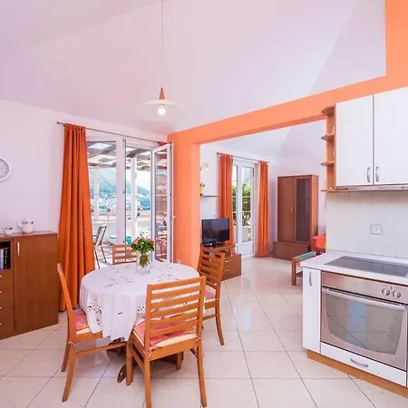 Apartament Modern With Swimming Pool - Penthouse Dubrownik